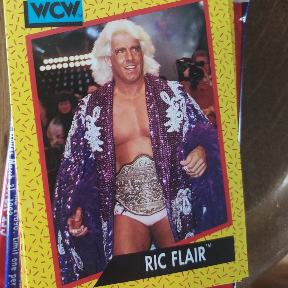 WCW trading card 1991 Ric Flair